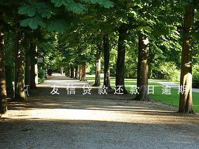 友信贷款还款日逾期 友信贷款还款日逾期