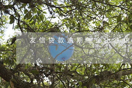 友信贷款逾期催会上征信吗