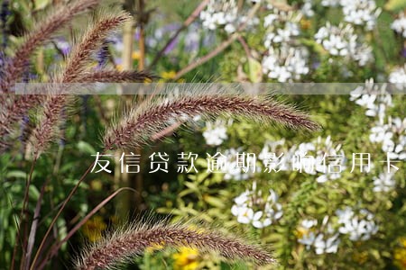 友信贷款逾期影响信用卡 友信贷款逾期影响信用卡