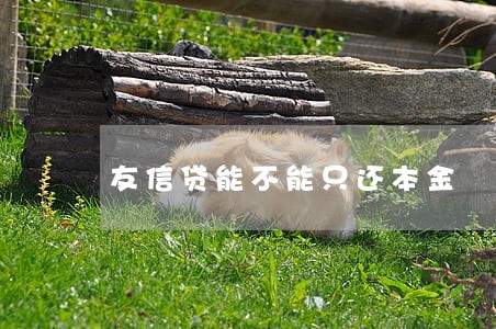 友信贷能不能只还本金 友信贷能不能只还本金