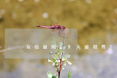 友信逾期19天逾期费2400 友信逾期19天逾期费2400