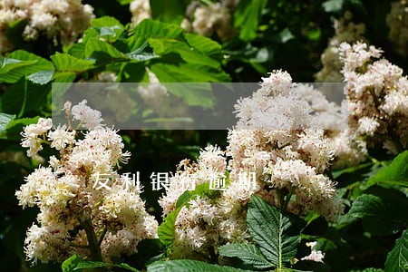 友利银行逾期 友利银行逾期