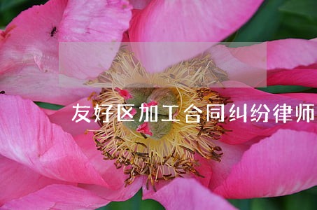 友好区加工合同纠纷律师 友好区加工合同纠纷律师