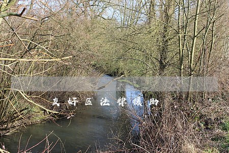 友好区法律援助 友好区法律援助