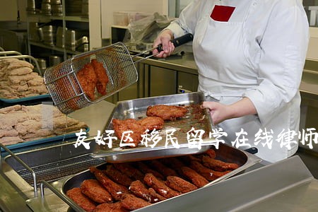 友好区移民留学在线律师 友好区移民留学在线律师