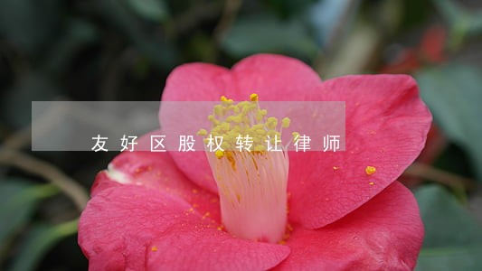 友好区股权转让律师 友好区股权转让律师
