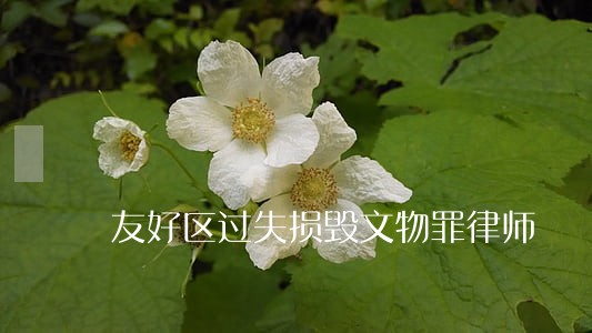 友好区过失损毁文物罪律师