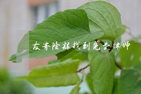 友寄隆辉找到免费律师 友寄隆辉找到免费律师