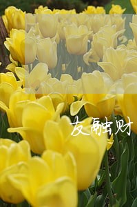 友融财富逾期 友融财富逾期