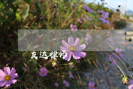 友达律师 友达律师