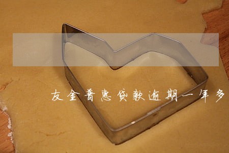 友金普惠贷款逾期一年多了 友金普惠贷款逾期一年多了
