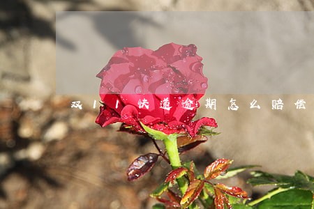 双11快递逾期怎么赔偿
