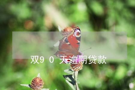 双90天逾期贷款 双90天逾期贷款