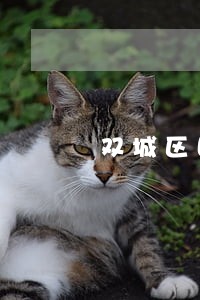 双城区国际贸易律师咨询电话 双城区国际贸易律师咨询电话