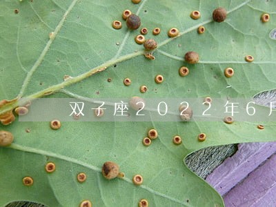 双子座2022年6月离婚 双子座2022年6月离婚