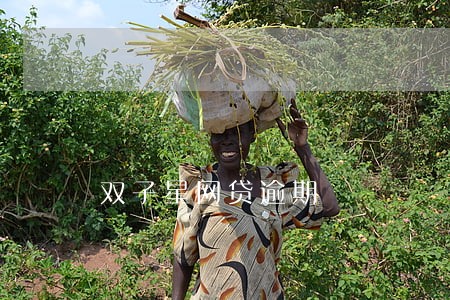 双子星网贷逾期 双子星网贷逾期