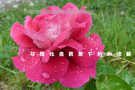 双层社会背景下的刑法解释 双层社会背景下的刑法解释