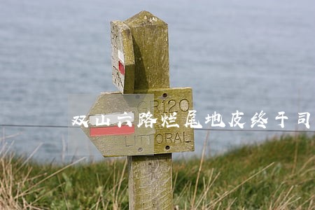 双山六路烂尾地皮终于司法拍卖 双山六路烂尾地皮终于司法拍卖