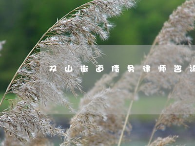 双山街道债务律师咨询 双山街道债务律师咨询