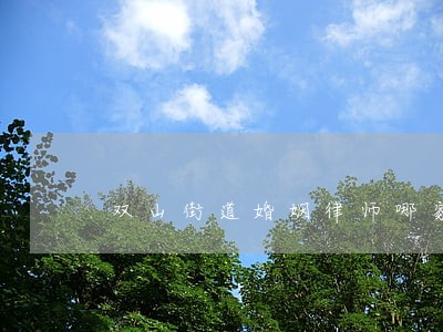 双山街道婚姻律师哪家好 双山街道婚姻律师哪家好