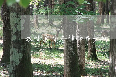 双峰县债务律师多少钱 双峰县债务律师多少钱