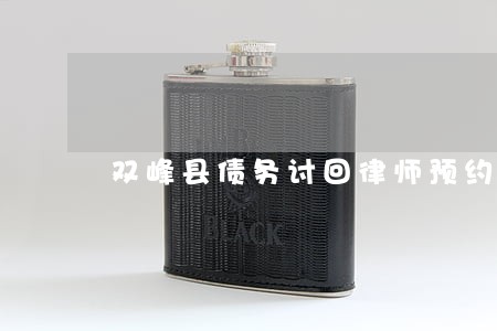 双峰县债务讨回律师预约面谈 双峰县债务讨回律师预约面谈