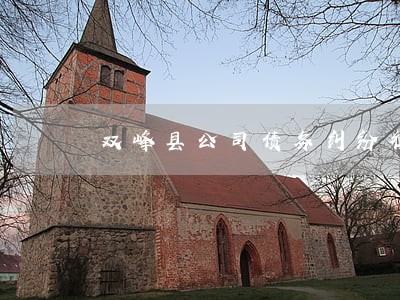 双峰县公司债务纠纷律师电话 双峰县公司债务纠纷律师电话
