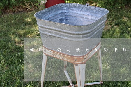 双峰县公司债务纠纷律师费用标准 双峰县公司债务纠纷律师费用标准