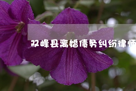 双峰县离婚债务纠纷律师电话 双峰县离婚债务纠纷律师电话