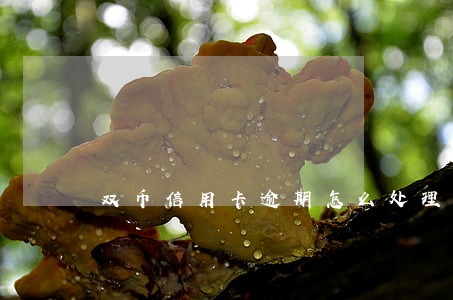 双币信用卡逾期怎么处理