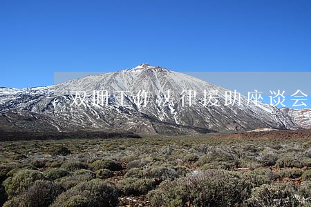 双拥工作法律援助座谈会 双拥工作法律援助座谈会