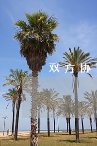 双方协议离婚是否生效 双方协议离婚是否生效