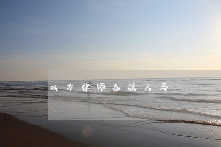 双方律师各派人马 双方律师各派人马