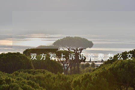 双方都上诉诉讼费怎么交