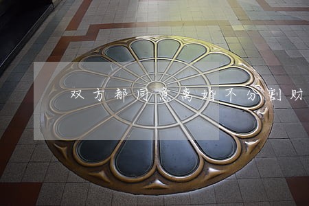双方都同意离婚不分割财产 双方都同意离婚不分割财产