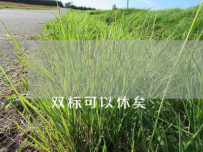 双标可以休矣 双标可以休矣