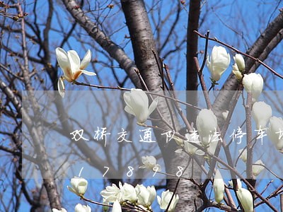 双桥交通队违法停车场/2023020817898