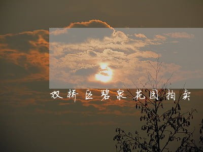 双桥区碧泉花园拍卖 双桥区碧泉花园拍卖