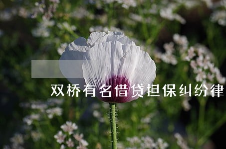 双桥有名借贷担保纠纷律师多少钱 双桥有名借贷担保纠纷律师多少钱