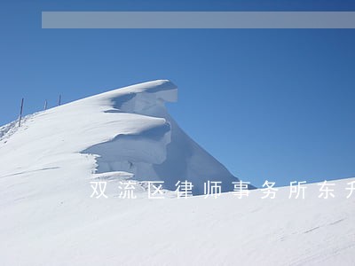 双流区律师事务所东升 双流区律师事务所东升