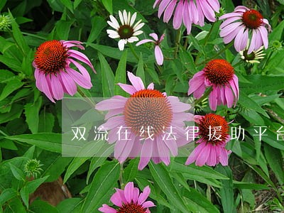 双流在线法律援助平台 双流在线法律援助平台