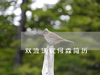 双流法院何淼简历 双流法院何淼简历