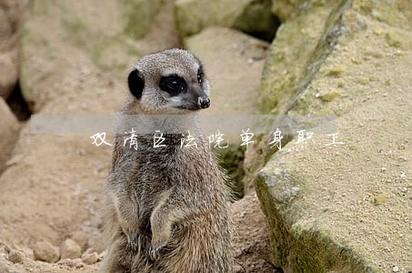 双清区法院单身职工 双清区法院单身职工