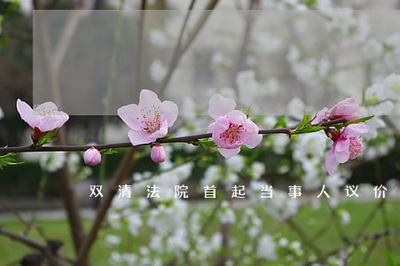 双清法院首起当事人议价拍卖成功 双清法院首起当事人议价拍卖成功