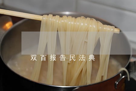 双百报告民法典 双百报告民法典