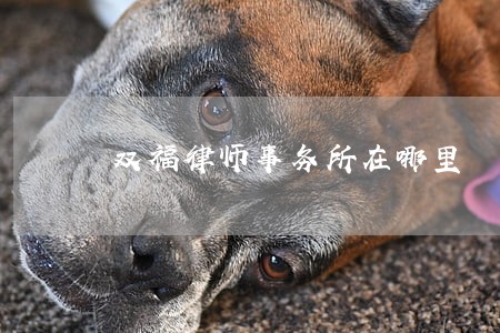 双福律师事务所在哪里 双福律师事务所在哪里