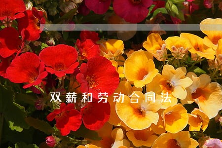 双薪和劳动合同法 双薪和劳动合同法