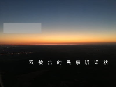 双被告的民事诉讼状