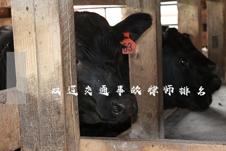 双辽交通事故律师排名 双辽交通事故律师排名