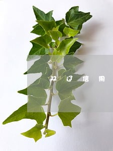 双辽信用卡逾期名单